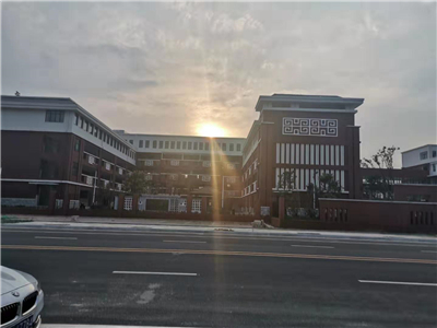 驻马店EPS线条-同美十七小学